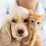 Vaccines Save Lives: What Every Pet Owner Should Know