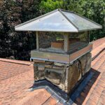 When Your Chimney Becomes a Birdhouse