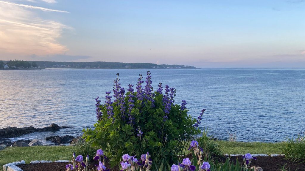 Beneficial & Simple Ways to Connect More with Nature