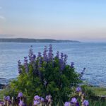 Beneficial & Simple Ways to Connect More with Nature