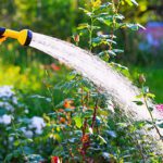 The Dog Days of Summer: Properly Irrigating Gardens and Lawns