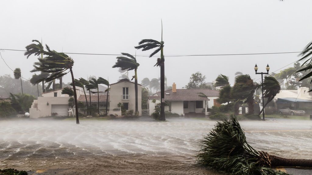 Future-Proofing Your Home: Investing in Hurricane Protection