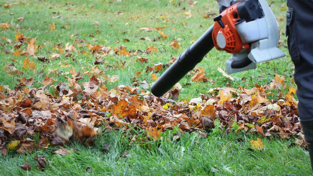 Fall Is for Foundations: Set Your Lawn Up for a Strong Comeback