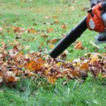 Fall Is for Foundations: Set Your Lawn Up for a Strong Comeback
