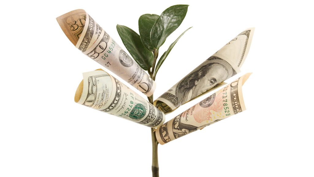 Generate More Income