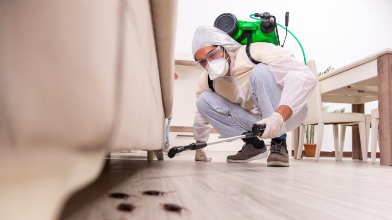 How Local Pest Control Companies Lock In High-Value Homes with Local Marketing Strategies