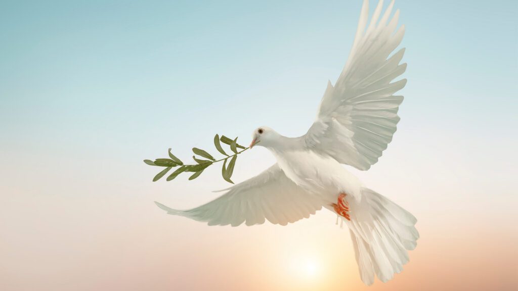 Trauma, Addiction, and the Healing Power of Connection