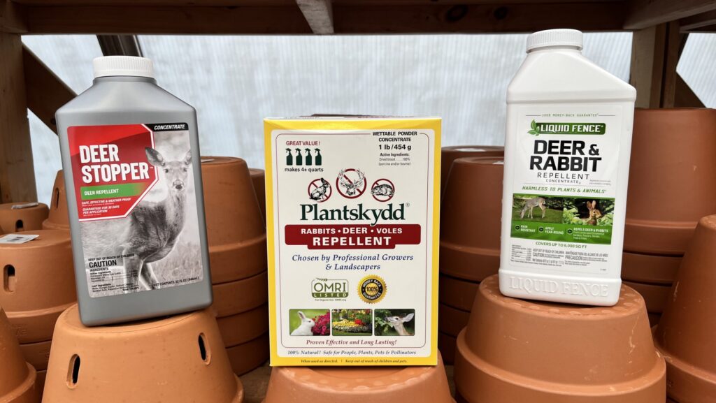 Animal Repellents: Protect Your Garden from Hungry Visitors