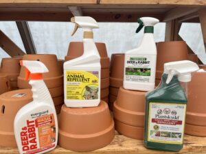 Mostardi Nursery ready to use spray bottles