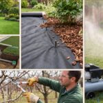 Essential Year-Round Care for a Healthy Lawn and Landscape