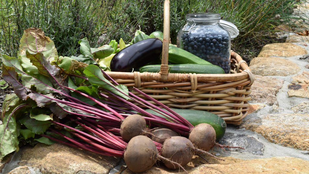 Basket of fruits and vegetables Bruno Design Associates