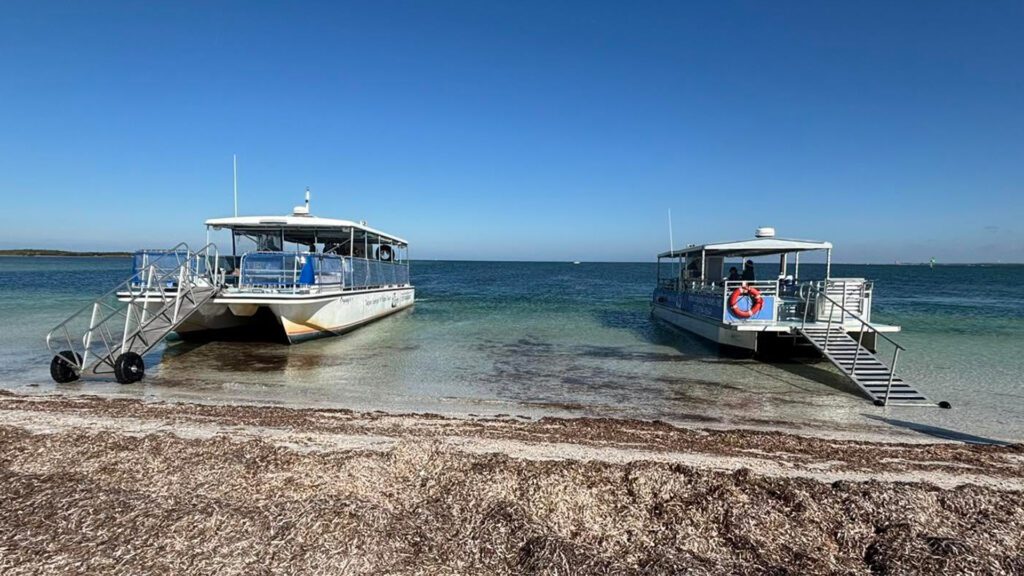 Where the Anclote River Meets the Gulf