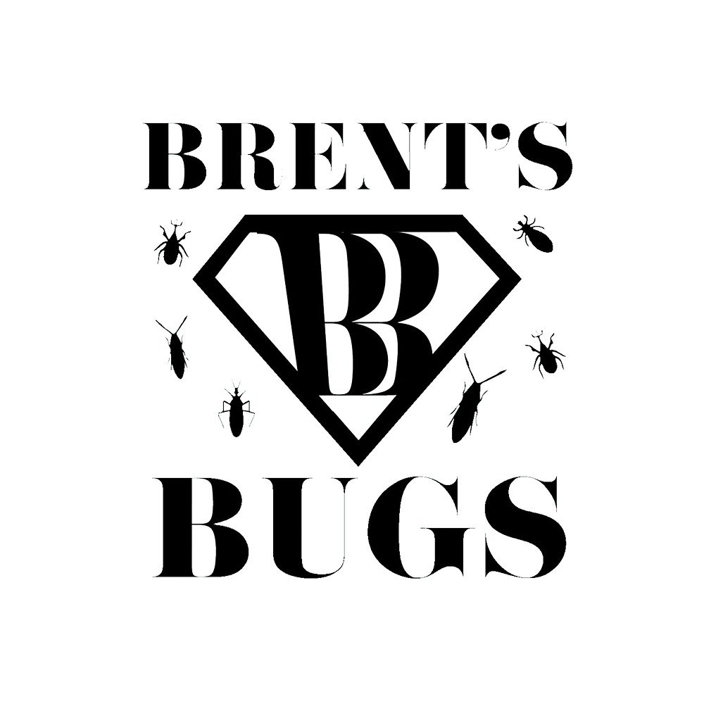 Brent Young