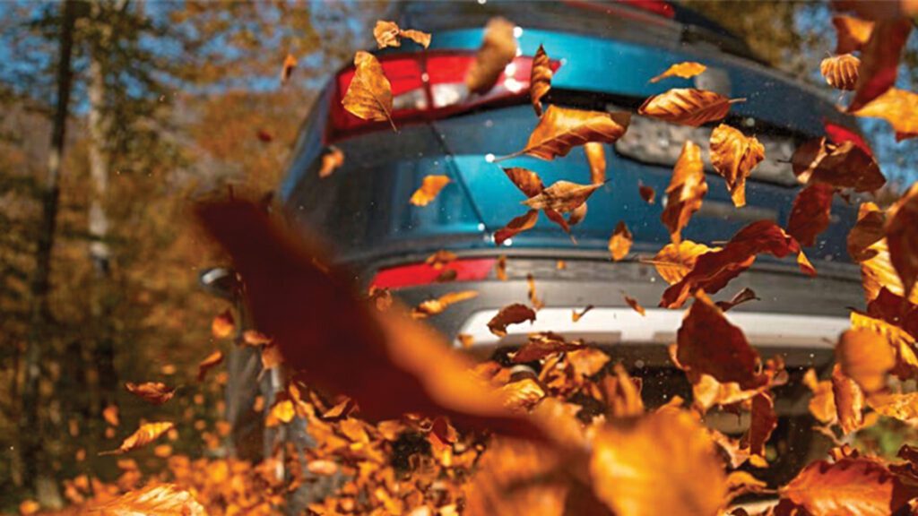 Pumpkin Spice Is Back… But Your Tires Don’t Care