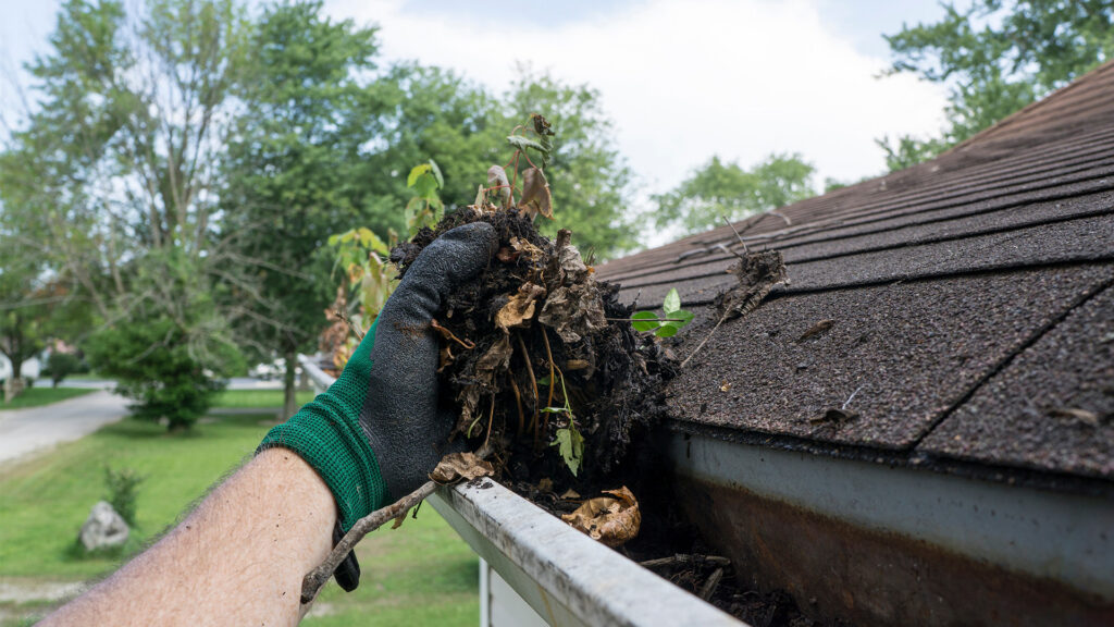 Cleaning gutter filled with leaves and sticks