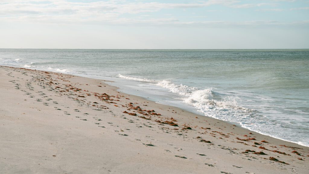 Before You Buy: What to Know About Building on Coastal Property