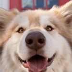 Ethel: Not So Tough Behind All That Fluff