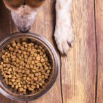 Where’s the Kibble?