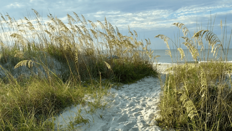 The Space in Between: Why the Moments Between One Thing and the Next Matter More Than We Think