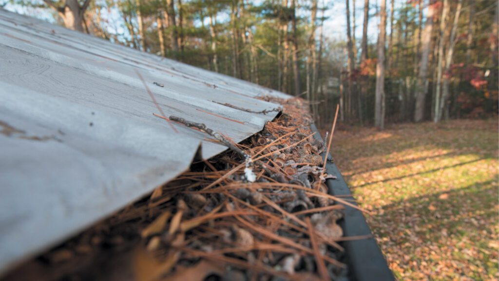 A Little Fall Care Goes a Long Way