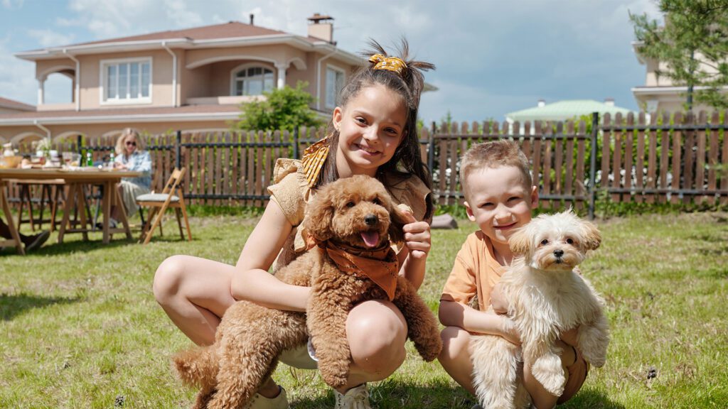 More Dogs, More Shared Space: Why Clean Common Areas Matter in a Growing Westfield