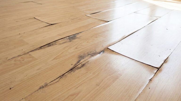 After the Storm: Don’t Let a Dry Floor Fool You