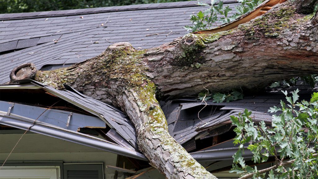 What to Do if You Have Storm Damage