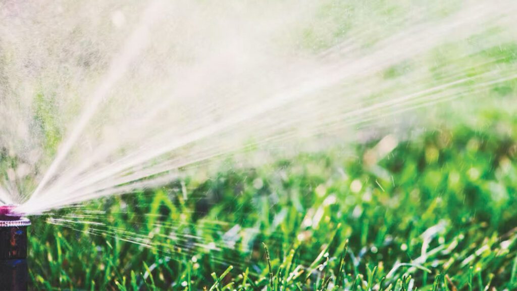Why Fall is the Perfect Time to Aerate Your Lawn