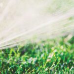 Why Fall is the Perfect Time to Aerate Your Lawn