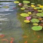 Keep It Flowing: Hot-Weather Maintenance for Your Ponds, Fountains, and Yard