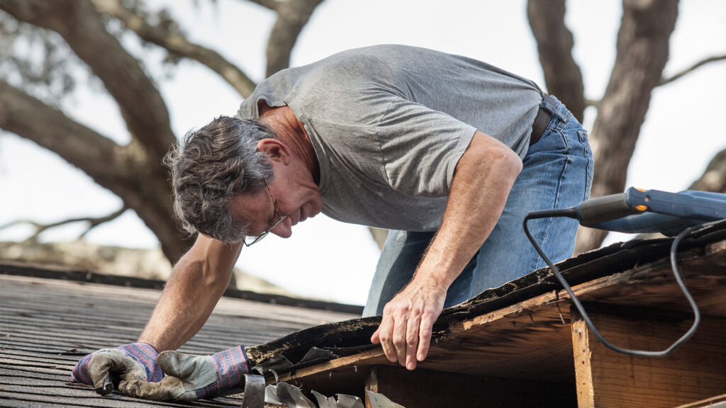 Man examining rotten wood on roof