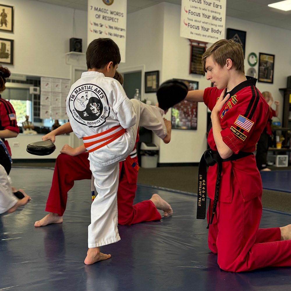 Martial arts training TM Martial Arts