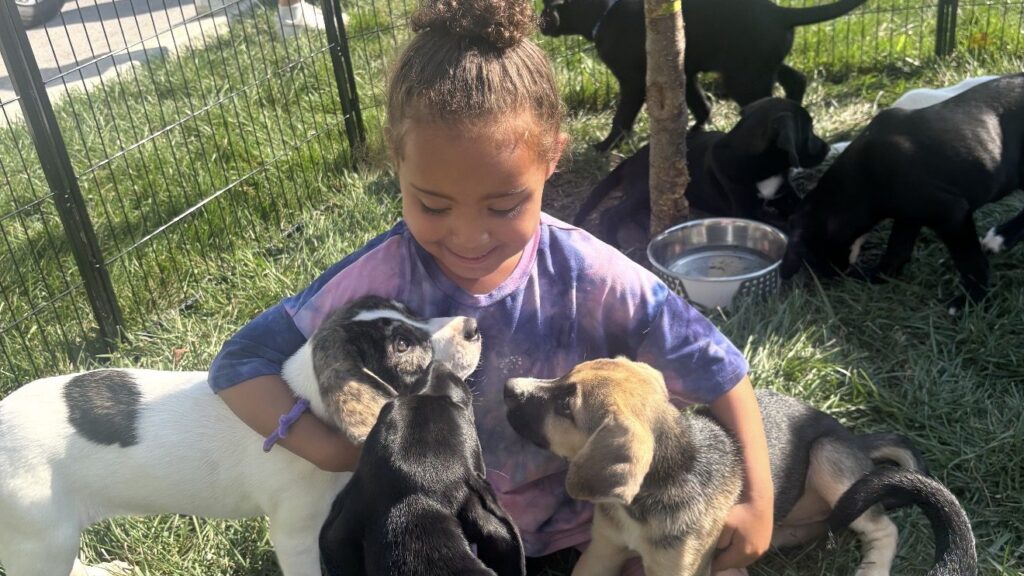 More Than a Pet Festival: The Rescue Story Behind Hair of the Dog 2026