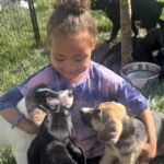 More Than a Pet Festival: The Rescue Story Behind Hair of the Dog 2026