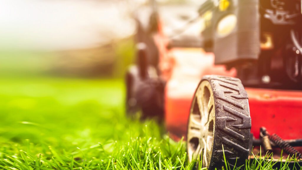Now’s the Time: The Secret to a Thick, Green Lawn Next Year