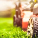 Now’s the Time: The Secret to a Thick, Green Lawn Next Year