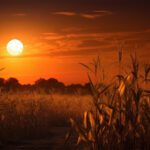 New Beginnings: When to Start Something New