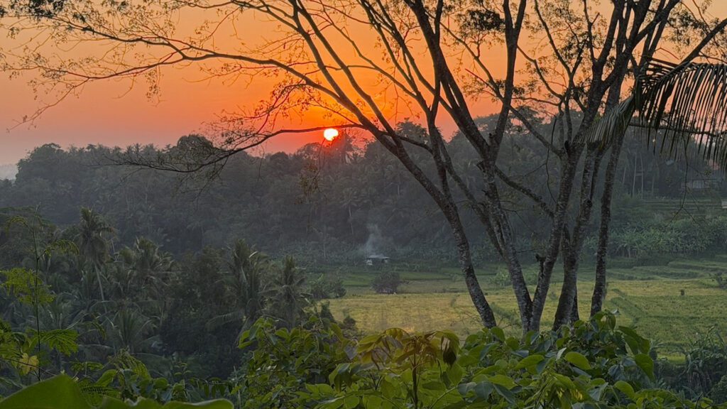 Coming Home: Lessons from Bali on Listening, Healing, and Belonging