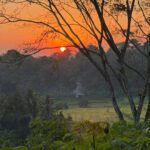 Coming Home: Lessons from Bali on Listening, Healing, and Belonging