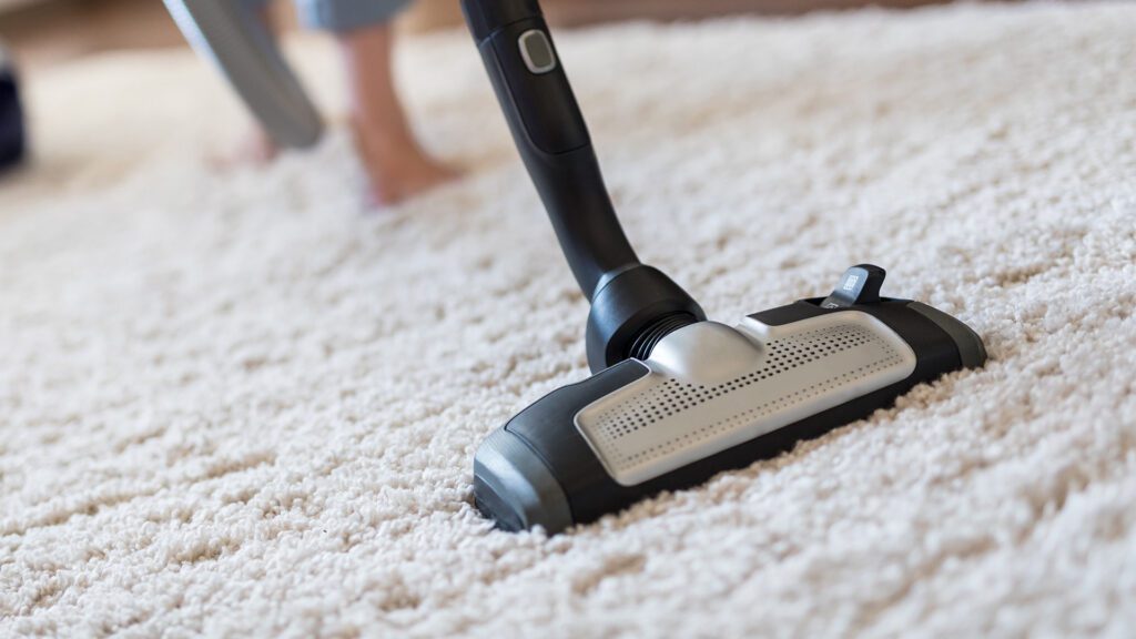 Protecting Your Investment: Proper Carpet and LVP Maintenance