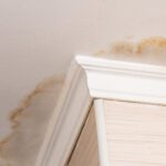 10 Signs Your Home Has a Hidden Water Leak