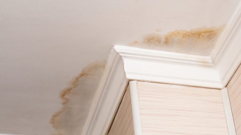 10 Signs Your Home Has a Hidden Water Leak
