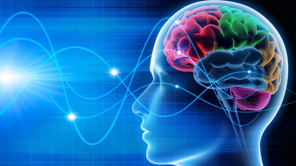 The Future of Student Performance Starts in the Brain
