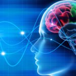 The Future of Student Performance Starts in the Brain