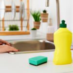 The Thanksgiving Clean