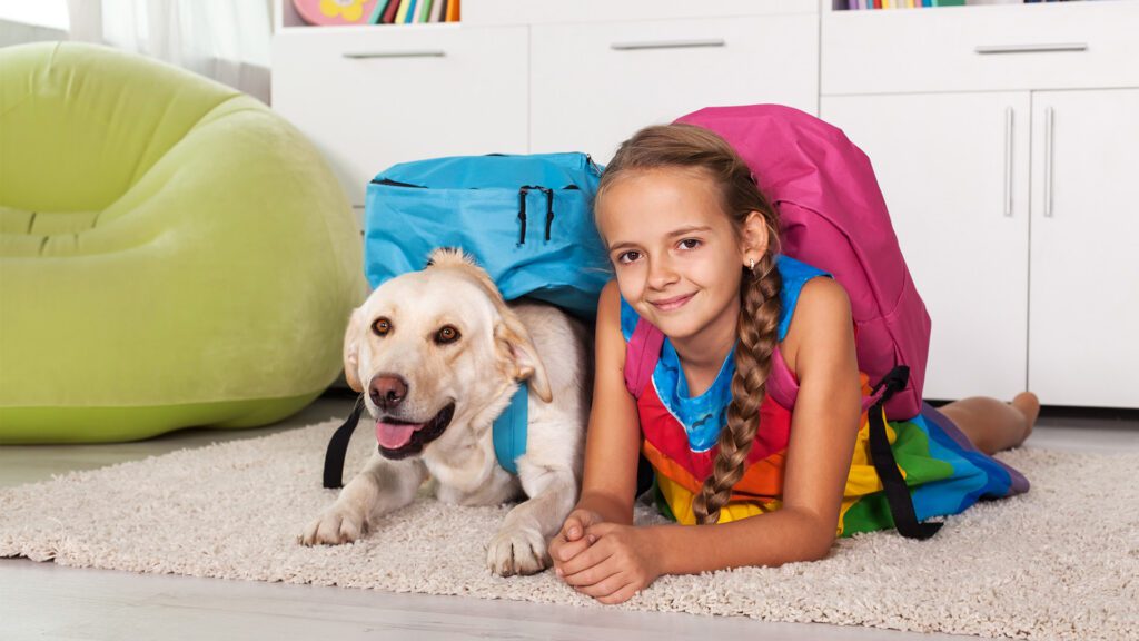Back to Routine: Helping Pets Adjust to the Change