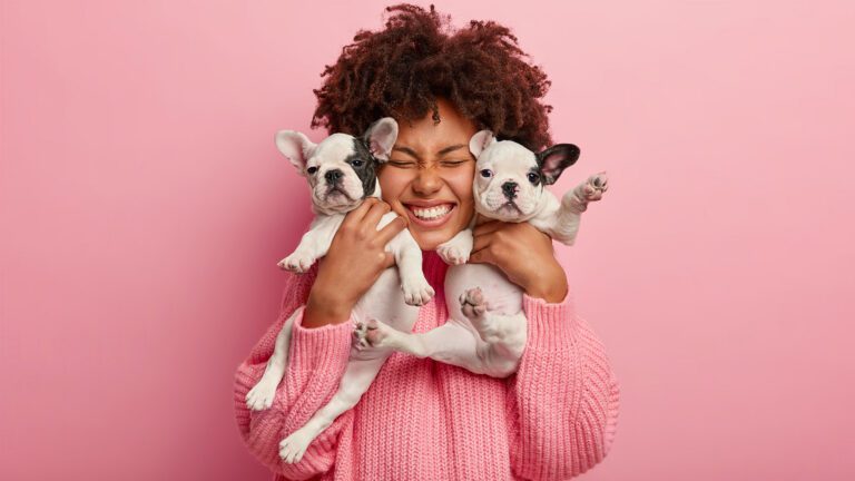Caring for Flat-Faced Favorites: Expert Care for Brachycephalic Breeds