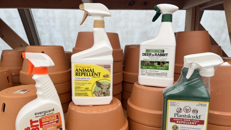 Animal Repellents: Protect Your Garden from Hungry Visitors