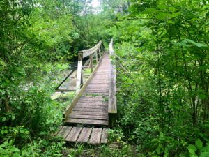 Chief Pontiac Trail Expedition Detroit Proud Lake marsh crossing