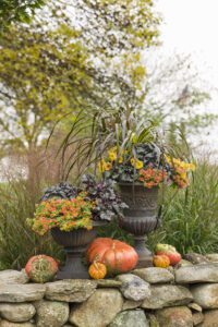 Bast Brothers Garden Center